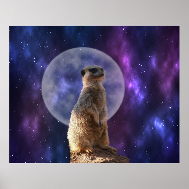 Affiche Sentinelle cosmique : Meerkat sous la Pleine lune (Devant)