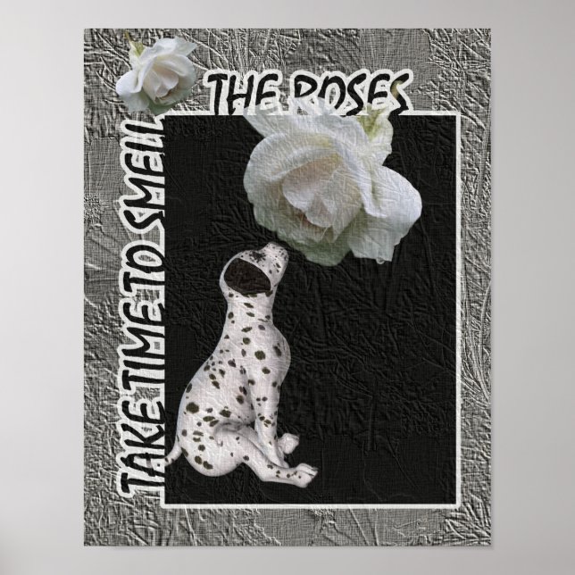 Affiche Sentir La Dalmatie Rose Chiot Inspirationnel (Devant)