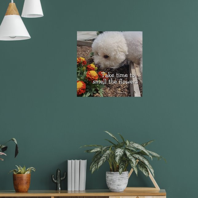 Affiche Sentir les Fleurs  (Salon 1)