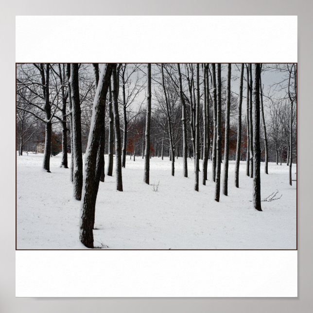 AFFICHE SENTRIES (Devant)