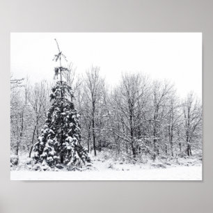 Affiche séparation de l'incertitude