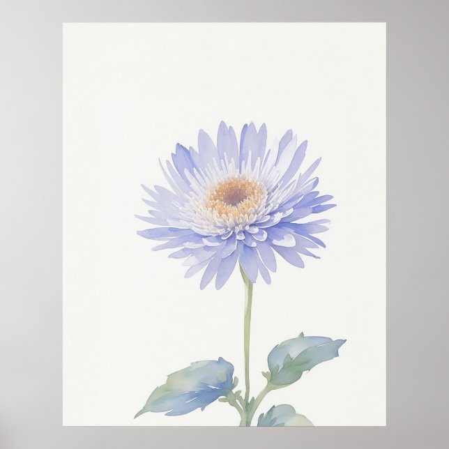 Affiche Septembre Aster Birth Flower (Devant)