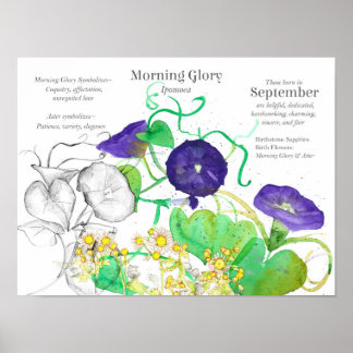 Affiche Septembre Fleur de naissance Langue des fleurs