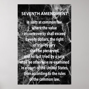Affiche Septième amendement