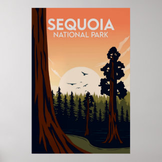 Affiche Sequoia