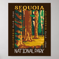 Sequoia National Park California Retro perturbé