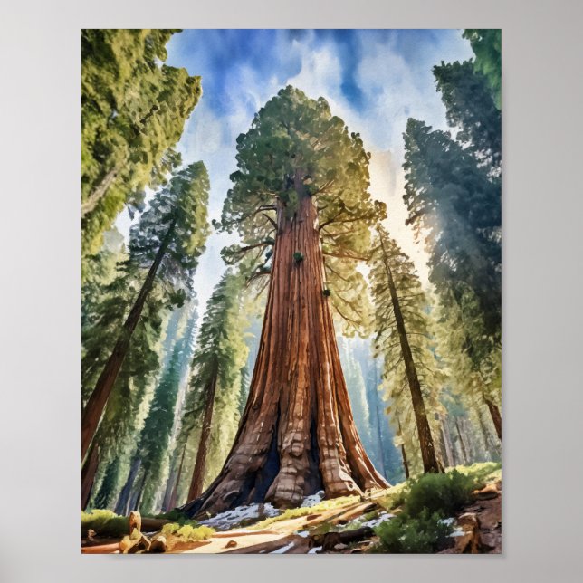 Affiche Sequoia National Park California Watercolor (Devant)