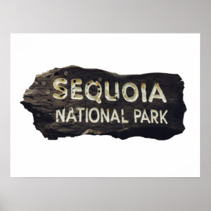 Affiche Sequoia National Park Signet en bois