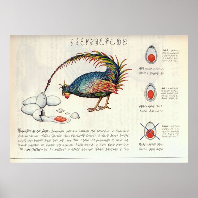 Affiche Seraphinianus codex (Devant)