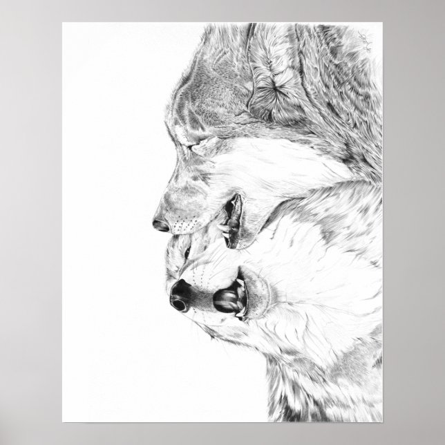 Affiche Serenade (Devant)