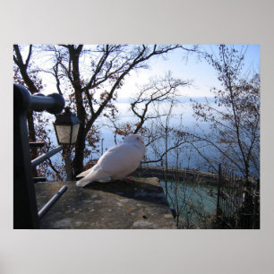 Affiche Serene Overlook