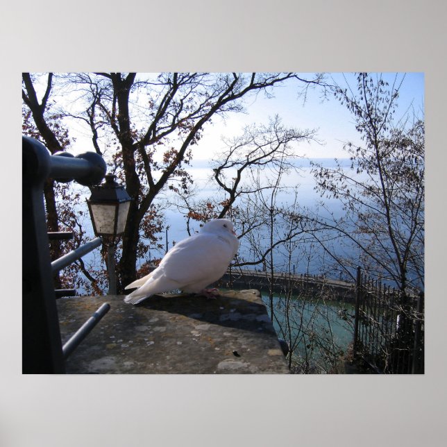 Affiche Serene Overlook (Devant)