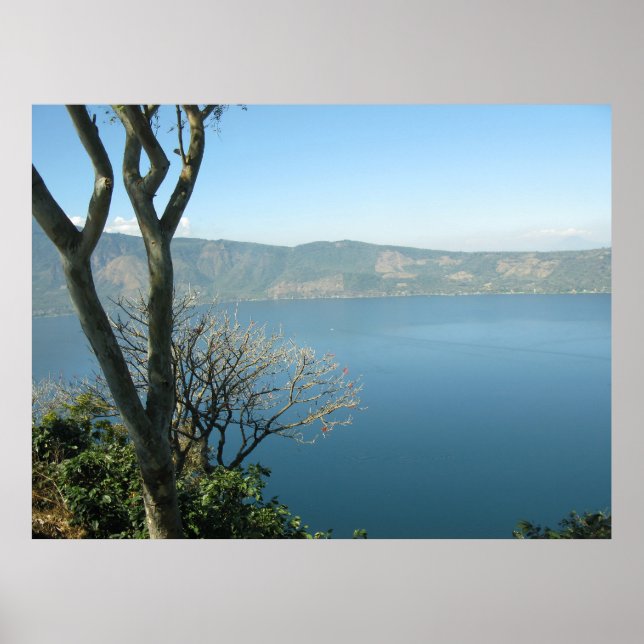 Affiche Serene Vista (Devant)