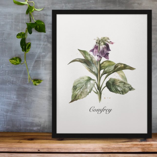 Affiche Serene Watercolor Comfrey, personnalisée (Créateur téléchargé)