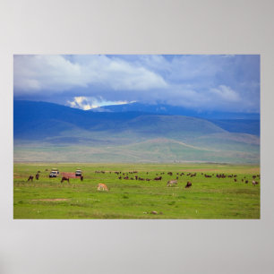 Affiche Serengeti