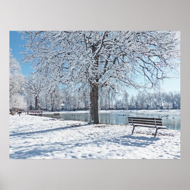 AFFICHE SÉRÉNITÉ À OLANDER PARK/PREMIÈRE CHUTE DE NEIGE (Devant)
