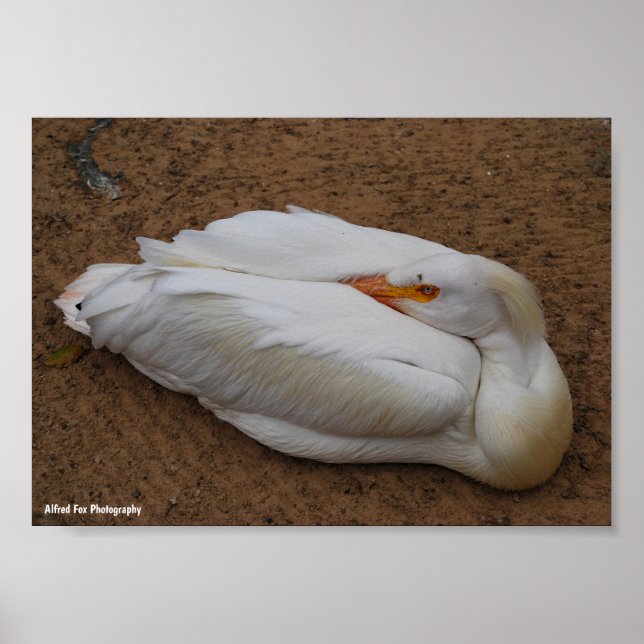 Affiche Sérénité en blanc (Devant)