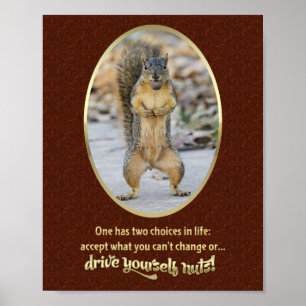 Affiche Serenity Prayer in a Nutshell