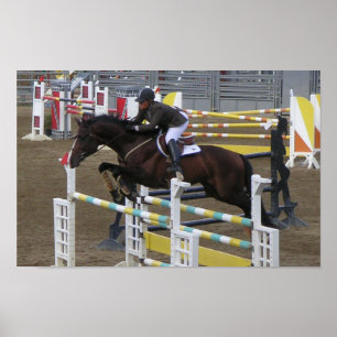 Affiche Série de parc d'Estes (3)