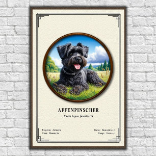 Affiche Série de zoologie Affenpinscher