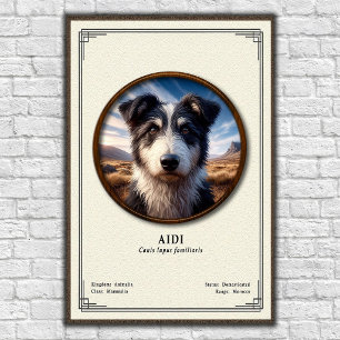 Affiche Série de zoologie Aidi