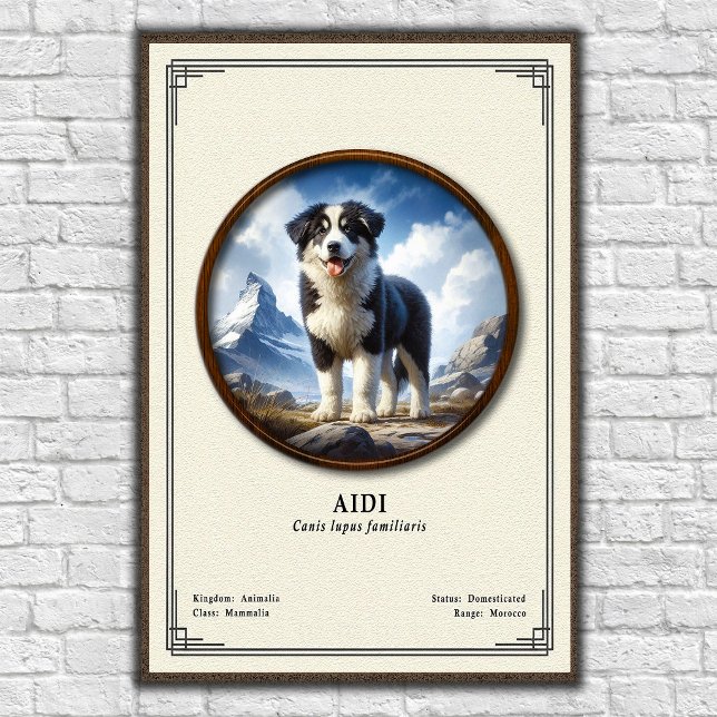 Affiche Série de zoologie Aidi (Créateur téléchargé)