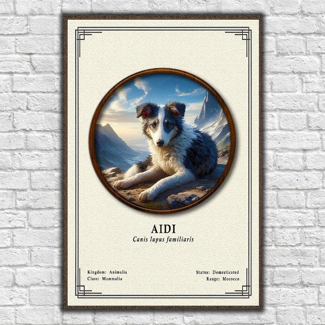 Affiche Série de zoologie Aidi (Créateur téléchargé)