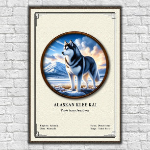 Affiche Série de zoologie Alaskan Klee Kai