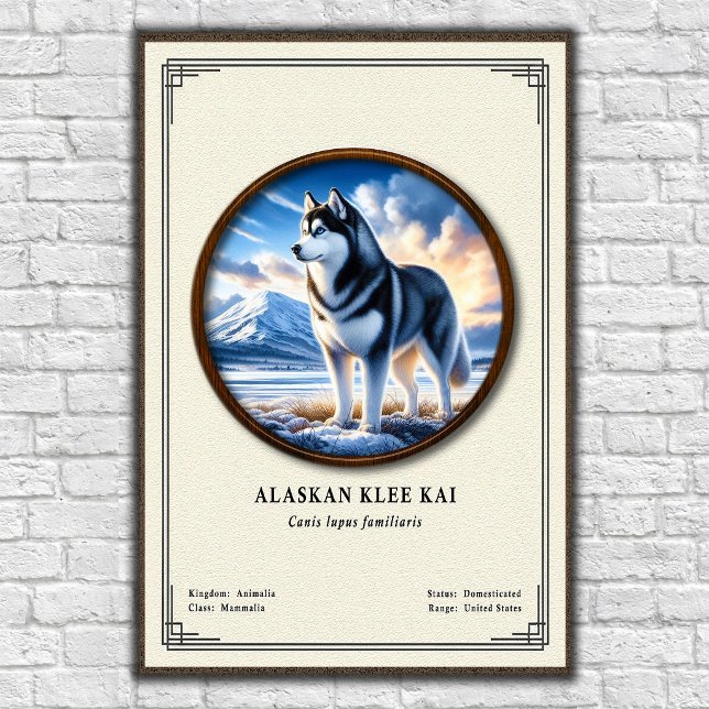 Affiche Série de zoologie Alaskan Klee Kai (Créateur téléchargé)
