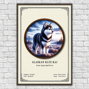 Affiche Série de zoologie Alaskan Klee Kai