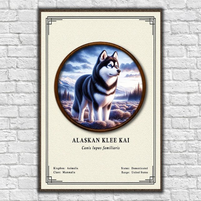 Affiche Série de zoologie Alaskan Klee Kai (Créateur téléchargé)