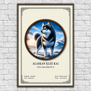 Affiche Série de zoologie Alaskan Klee Kai