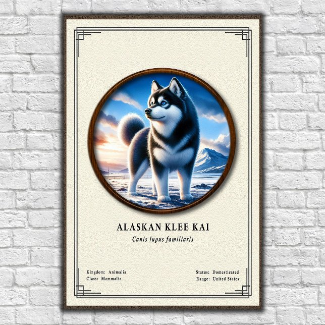 Affiche Série de zoologie Alaskan Klee Kai (Créateur téléchargé)