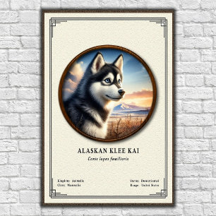 Affiche Série de zoologie Alaskan Klee Kai