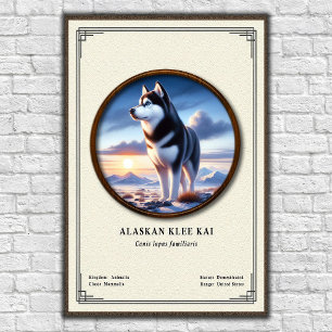 Affiche Série de zoologie Alaskan Klee Kai