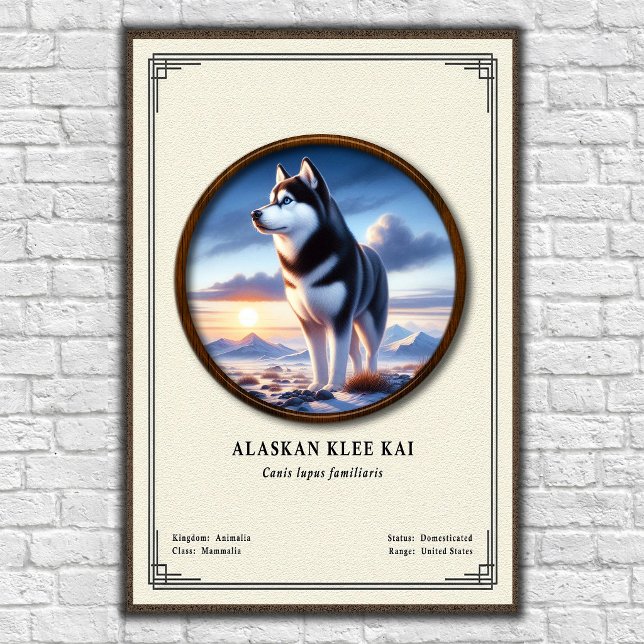 Affiche Série de zoologie Alaskan Klee Kai (Créateur téléchargé)