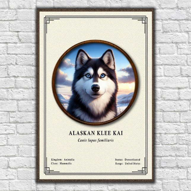 Affiche Série de zoologie Alaskan Klee Kai (Créateur téléchargé)