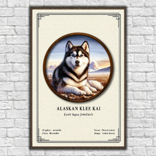 Affiche Série de zoologie Alaskan Klee Kai