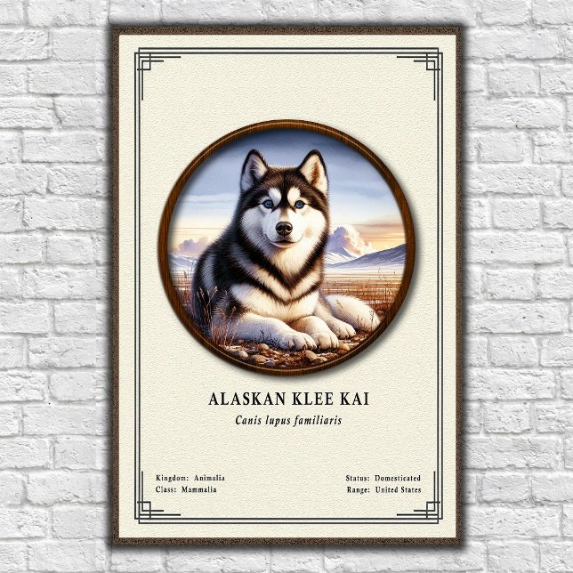 Affiche Série de zoologie Alaskan Klee Kai (Créateur téléchargé)