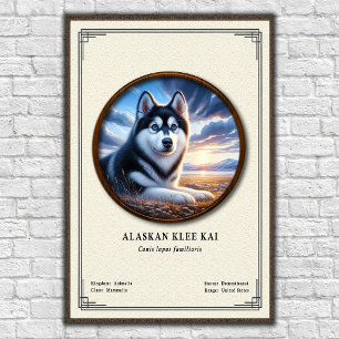 Affiche Série de zoologie Alaskan Klee Kai