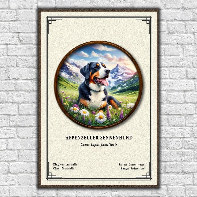 Affiche Série de zoologie Appenzeller Sennenhund (Créateur téléchargé)