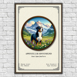 Affiche Série de zoologie Appenzeller Sennenhund