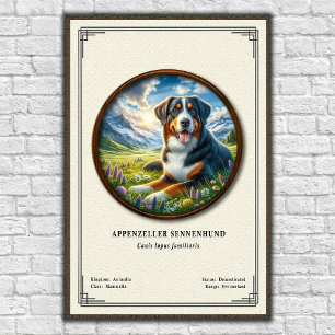 Affiche Série de zoologie Appenzeller Sennenhund