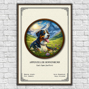 Affiche Série de zoologie Appenzeller Sennenhund