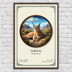 Affiche Série de zoologie Caracal