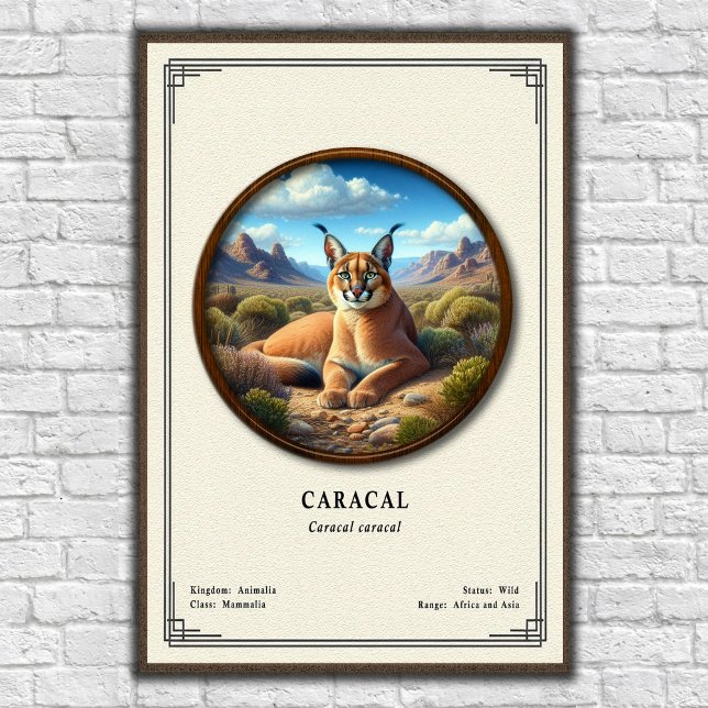 Affiche Série de zoologie Caracal (Créateur téléchargé)