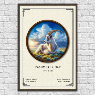 Affiche Série de zoologie de la chèvre cashmere