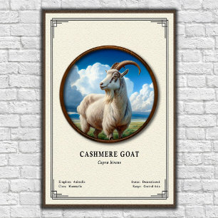 Affiche Série de zoologie de la chèvre cashmere