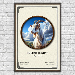 Affiche Série de zoologie de la chèvre cashmere