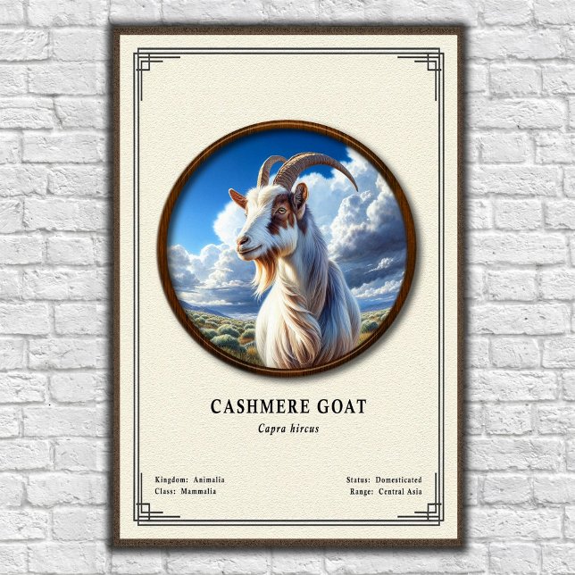Affiche Série de zoologie de la chèvre cashmere (Créateur téléchargé)
